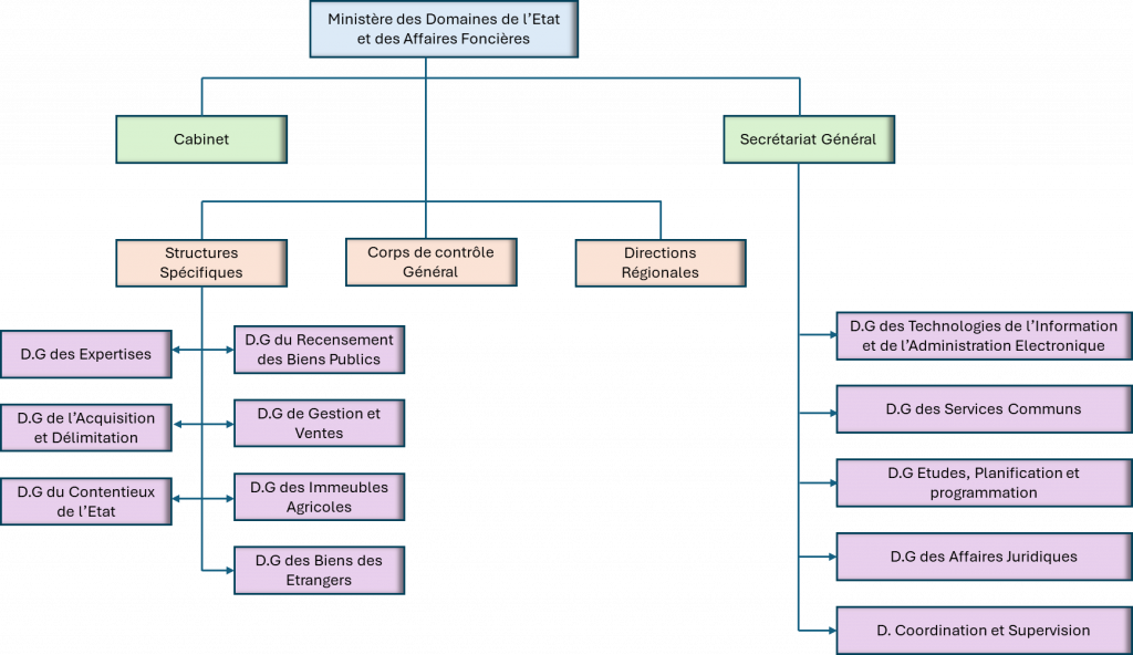 organigramme