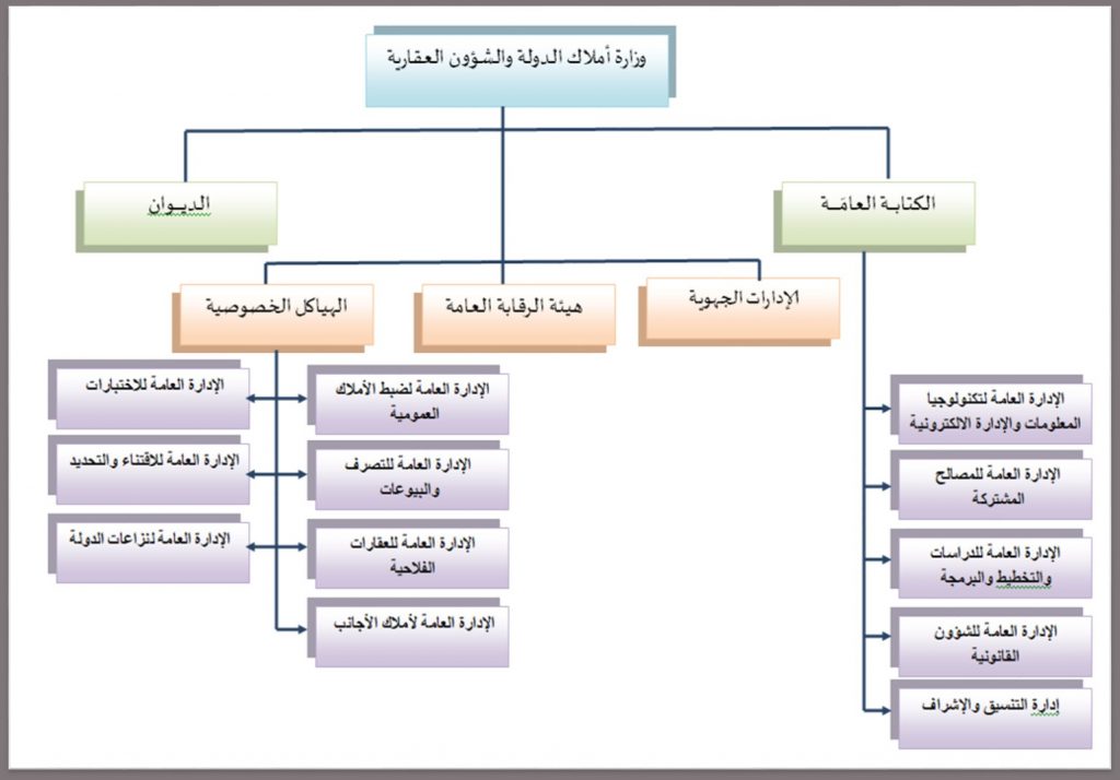 التنظيم الهيكلي