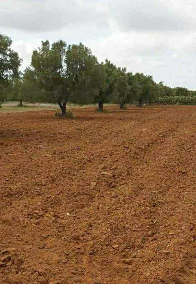 You are currently viewing Récupération d’un terrain domanial agricole de 30,5 hectares à Sousse.