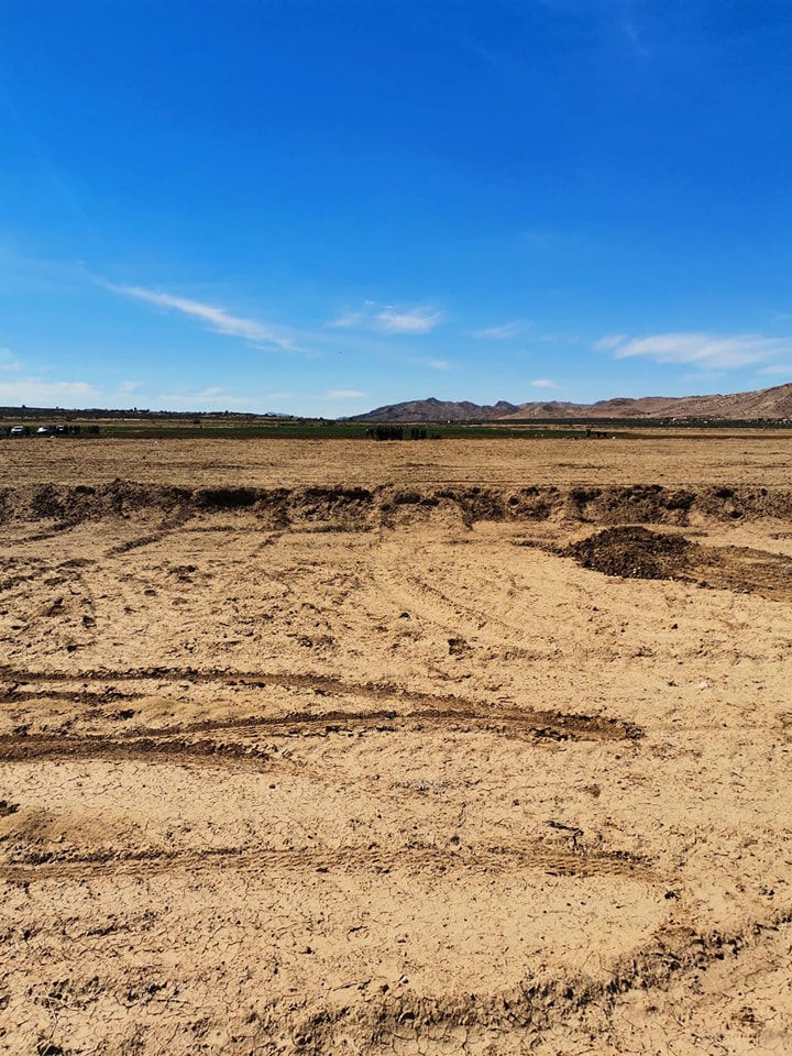 You are currently viewing Récupération d’un terrain domanial agricole de 35 he à Kairouan.