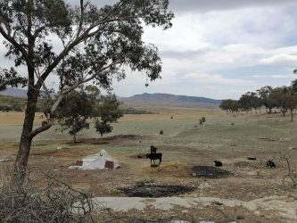 Lire la suite à propos de l’article Zaghouan : Récupération de 228 ha de terrains domaniaux agricoles.